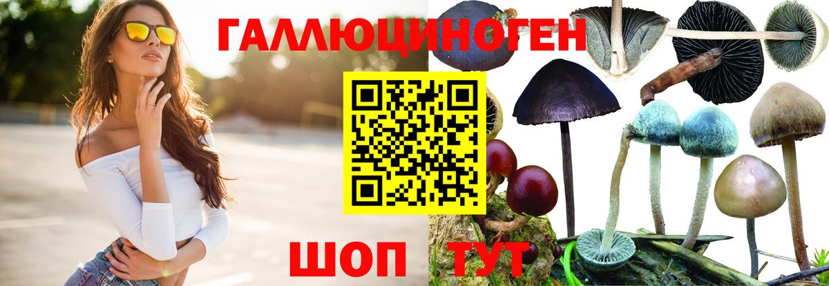 Кувандык  Галлюциногенные грибы Psilocybine cubensis  Вход с VPN 